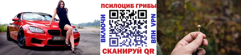 Псилоцибиновые грибы GOLDEN TEACHER  Советск 