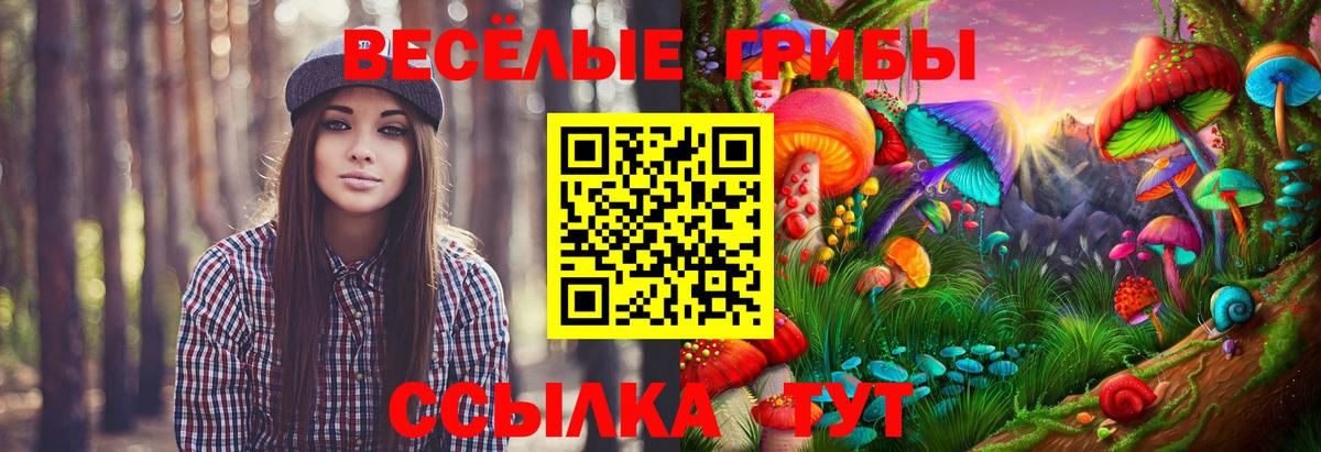 Псилоцибиновые грибы MAGIC MUSHROOMS Советск