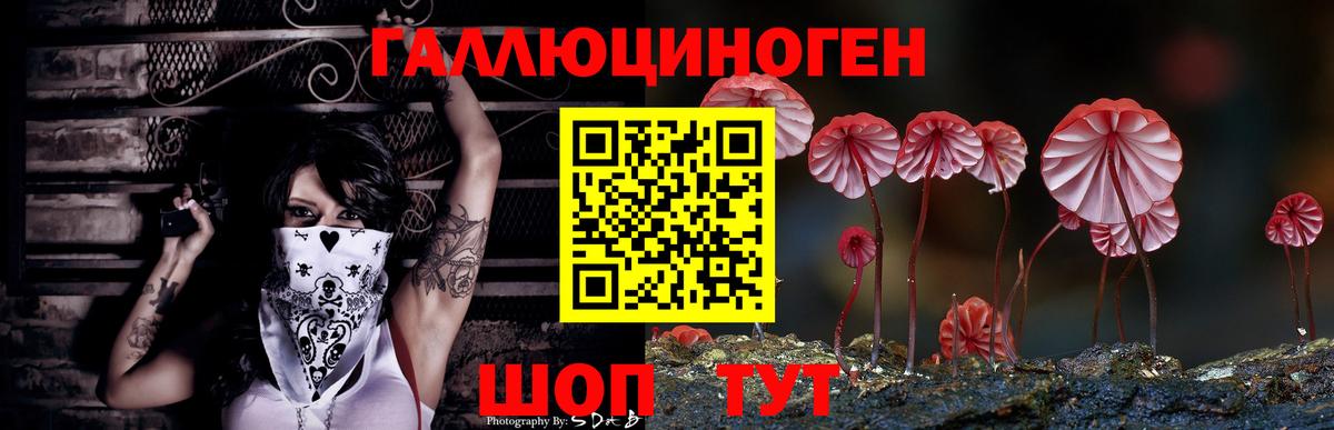 Псилоцибиновые грибы Cubensis  Вход с VPN  дарнет шоп  Псилоцибиновые грибы мухоморы  Советск 