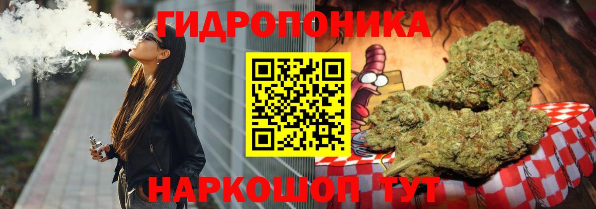Бошки Шишки VHQ Советск